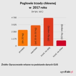 Pogłowie trzody chlewnej