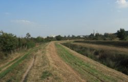 przygotowanie podłoża pod sad jabłoniowy