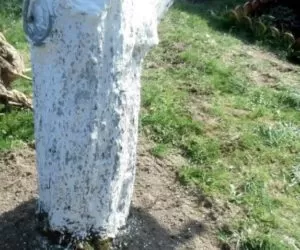 Sposoby usuwania jabłoni w&nbsp;sadach