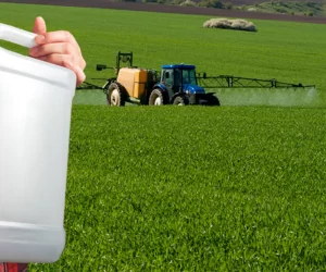 Skuteczne zwalczanie chwastów jednoliściennych w&nbsp;zbożach