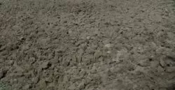 zabiegi agrotechniczne