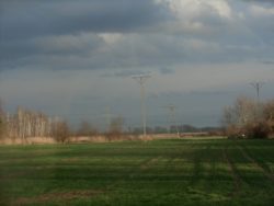 zakładanie sadu jabłoniowego