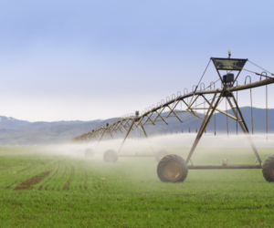 Kondycjonowanie wody i&nbsp;wynikające z&nbsp;niego korzyści