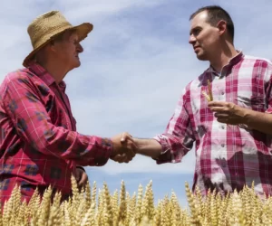 Rolnictwo zrównoważone: jakie przynosi korzyści