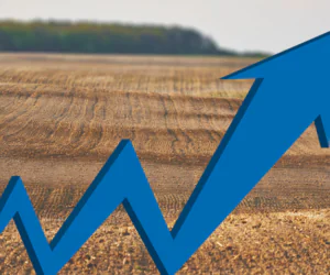 Jakie są współczesne wyzwania rolnictwa?