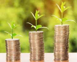 inwestycje zwiększające odporność ekosystemów leśnych