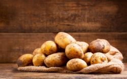 protesty producentów warzyw