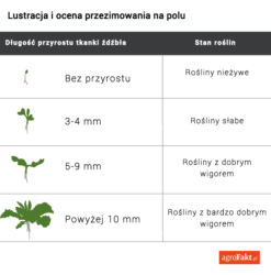 test przezimowania