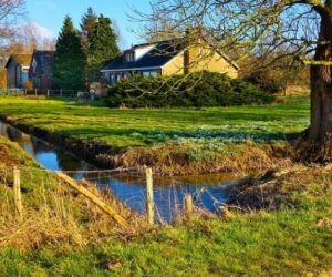 Kryteria pomocy dla spółek wodnych nadal zaporowe?