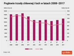 Zasady bioasekuracji są obowiązkowe