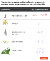 tabelka-temperatur