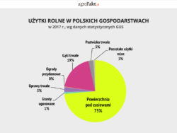 Użytki rolne Polska