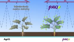 nawożenie dolistne