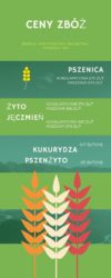 eksport pszenicy