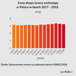 Ceny żywca wołowego w Polsce 