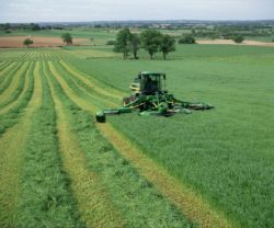 pasze objętościowe