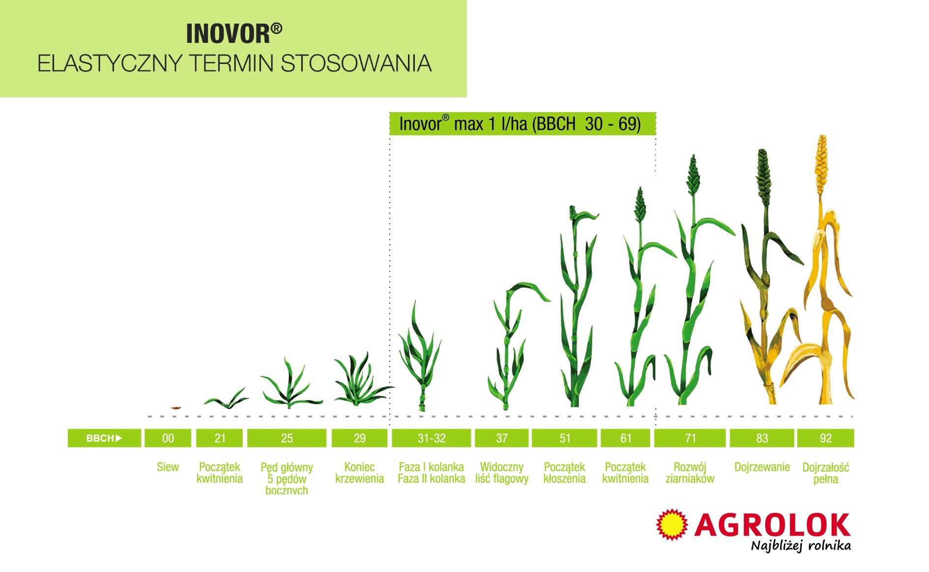 Inovor, Agrolok, fungicyd, zboża,