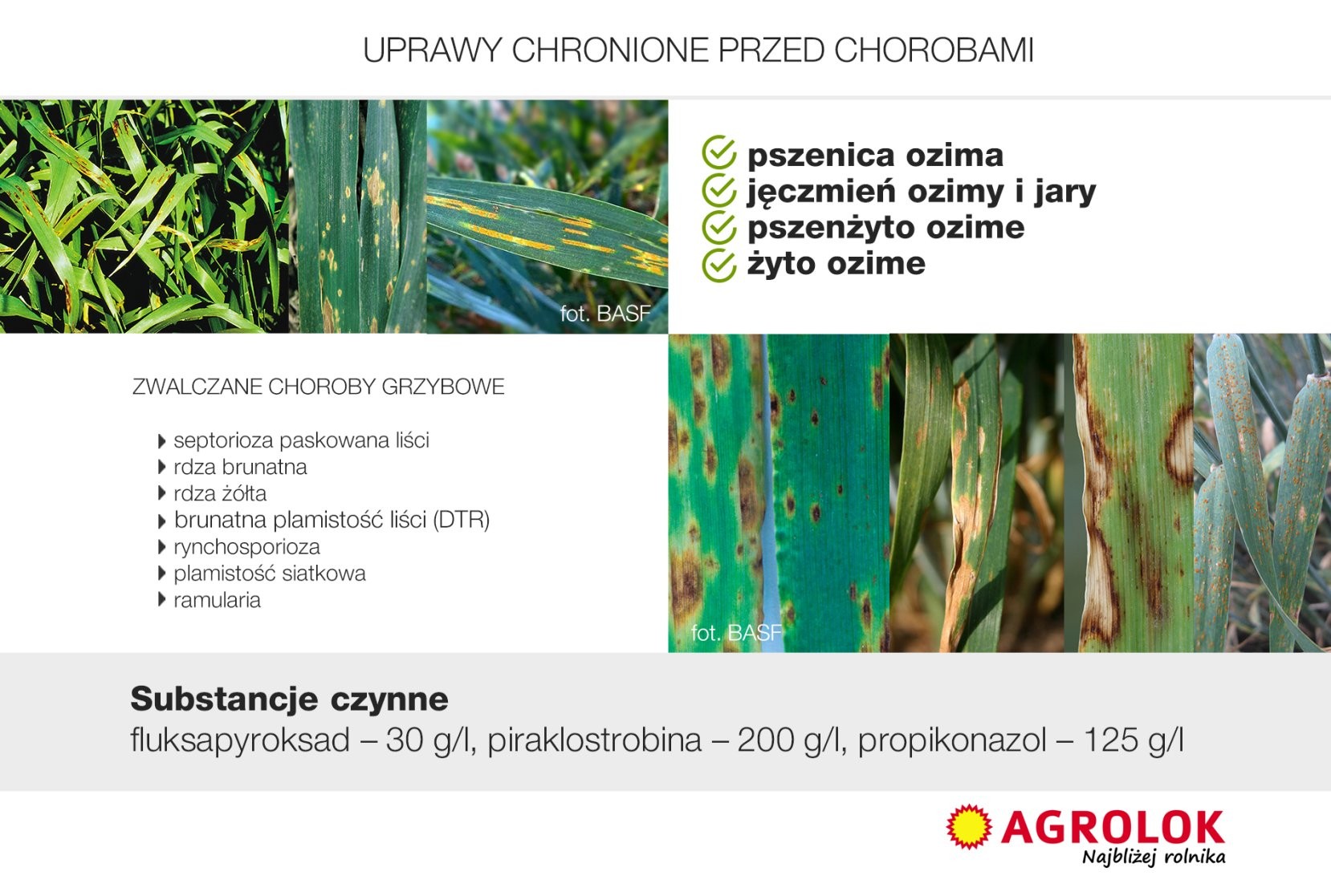 Inovor Agrolok choroby zboża