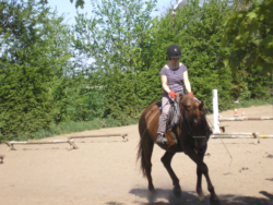 konie w agroturystyce