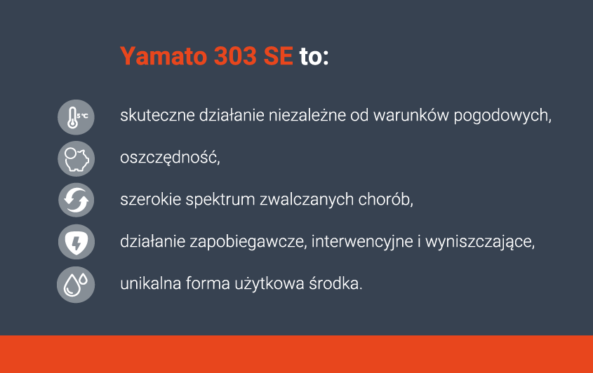 YAMATO 303 SE 