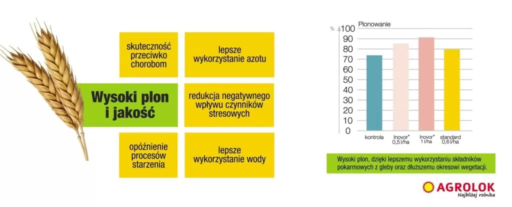 Schemat plonowania