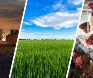 Aktualności rolnicze – 20.04.2018 r.