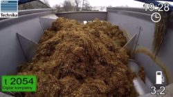 mieszanka paszowa, wydajność mleczna krów