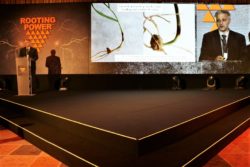 konferencja Syngenty