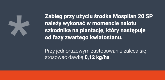 zwalczanie słodyszka rzepakowego