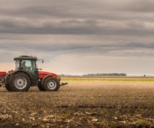 Zbilansowane nawożenie kukurydzy [INFOGRAFIKA]