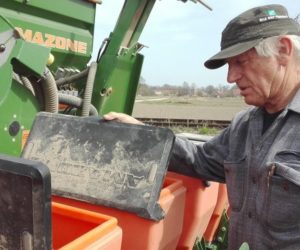 Burak cukrowy – tajniki nowoczesnej uprawy