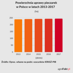 Uprawa pieczarek w Polsce w latach 2013-2017