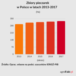 Produkcja pieczarek w Polsce 