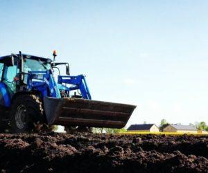Zagrożenia ze strony zwierząt dla zasiewu kukurydzy