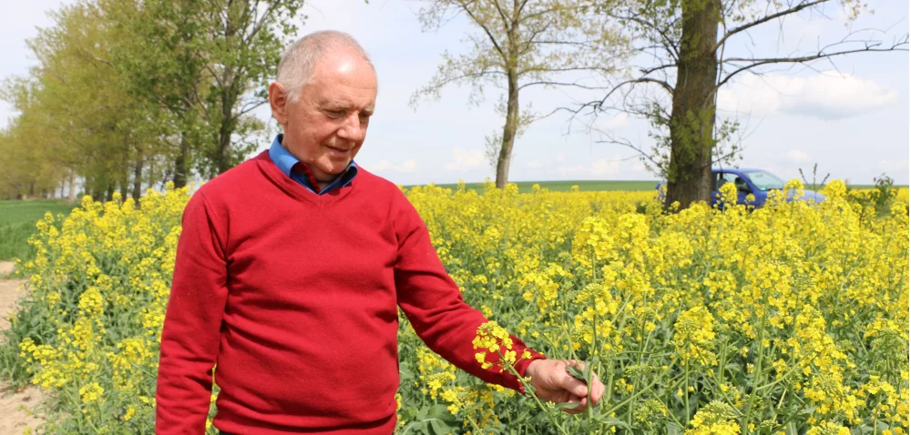 Z wizytą w gospodarstwie: Opadanie płatka zdaniem praktyka!