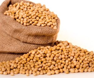 Spada amerykański eksport soi