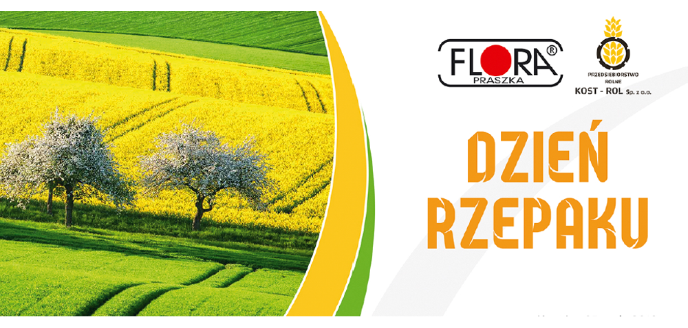 Już jutro Dzień Rzepaku w&nbsp;Kostowie koło Byczyny