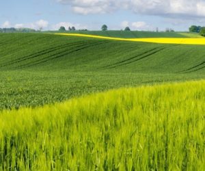 Finansowanie rolnictwa nakierowane na potrzeby