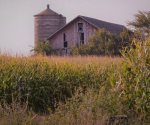 Restrukturyzacja małych gospodarstw – można uzyskać 60 tys. zł!