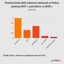 Jak przezimowały uprawy