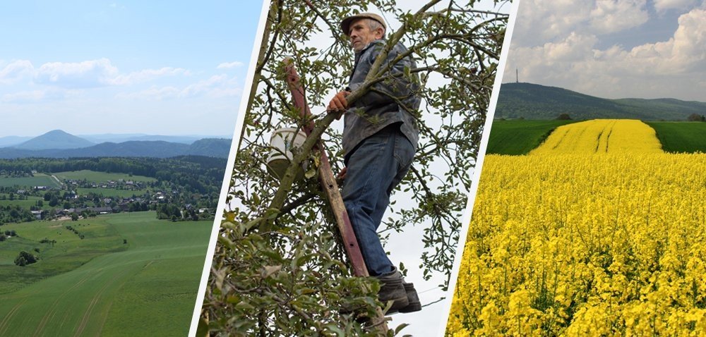 Aktualności rolnicze – 21.05.2018 r.