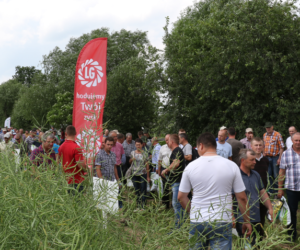 Spotkania Polowe 2018 – gdzie warto się wybrać?