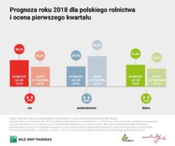 Prognoza sytuacji w polskim rolnictwie w 2018