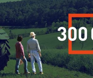300 tys czytelników