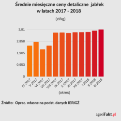 cena jabłek w detalu