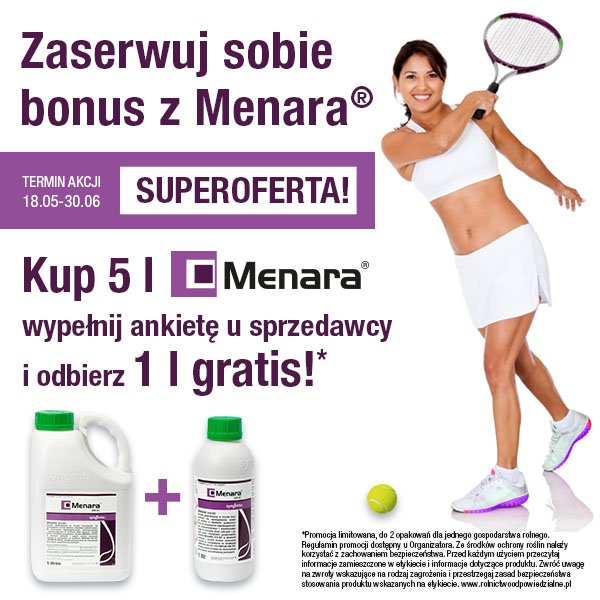 promocja menara