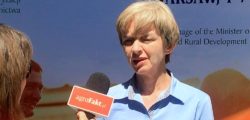 dopłaty do zalesiania