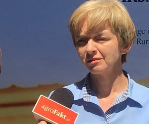 Dopłaty do zalesiania –  są pieniądze dla wszystkich