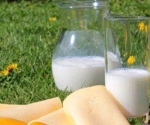 Spotkanie z mleczarzami [AKTUALNOŚCI]