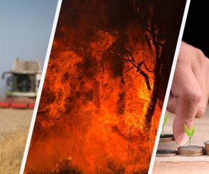 Uwaga! Pożary w&nbsp;polskich lasach [Aktualności]